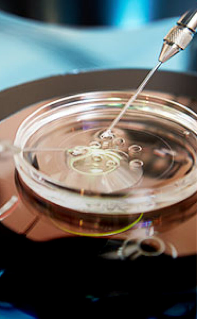 Image assisted reproductive technology