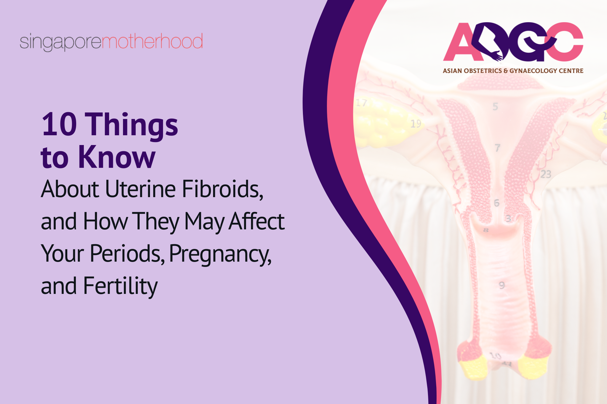 10 Things to Know About Uterine Fibroids, and How They May Affect Your Periods, Pregnancy, and Fertility
